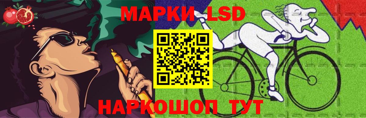Шелехов  мега как зайти  Лсд 25 экстази  ЛСД экстази ecstasy  Вход с VPN  ЛСД экстази кислота 