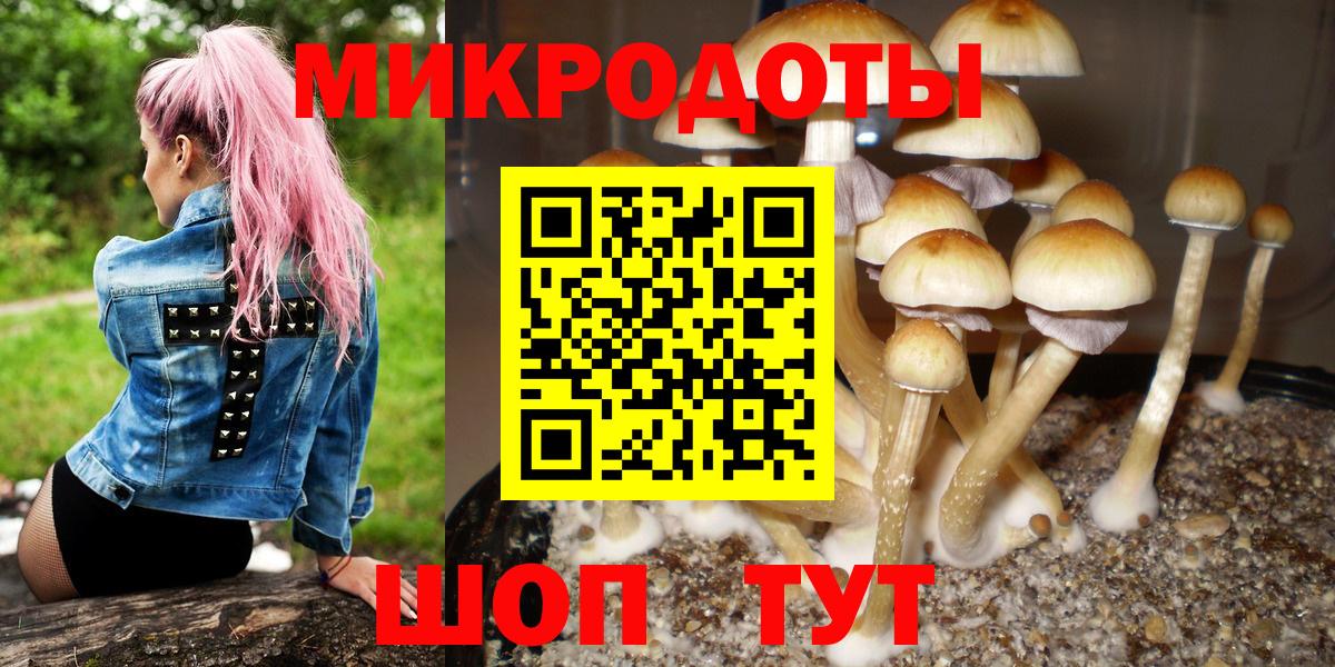 как найти наркотики  Вход с VPN  Галлюциногенные грибы Magic Shrooms  Шелехов  Псилоцибиновые грибы Psilocybine cubensis 