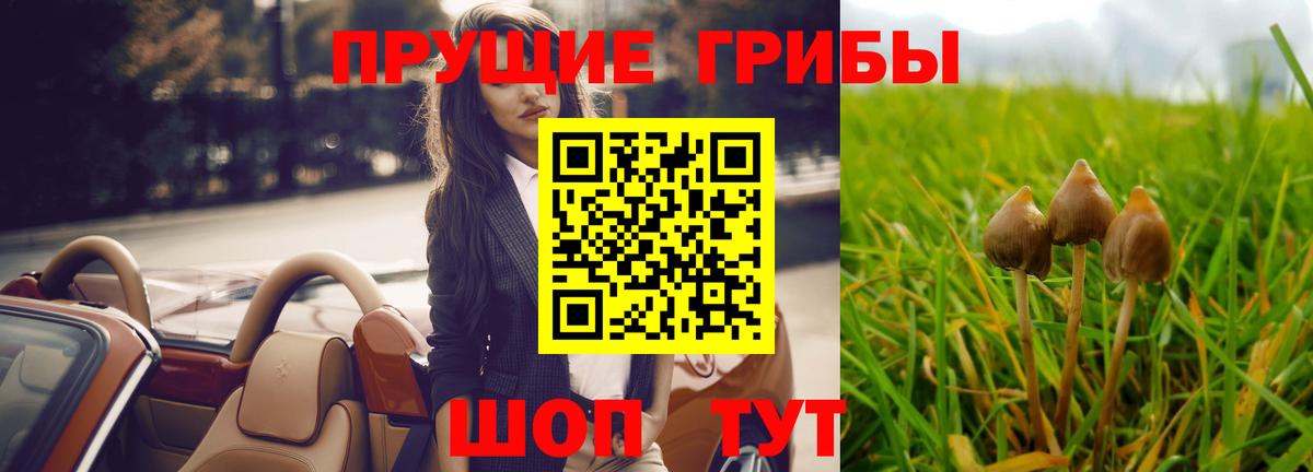 Галлюциногенные грибы GOLDEN TEACHER Шелехов